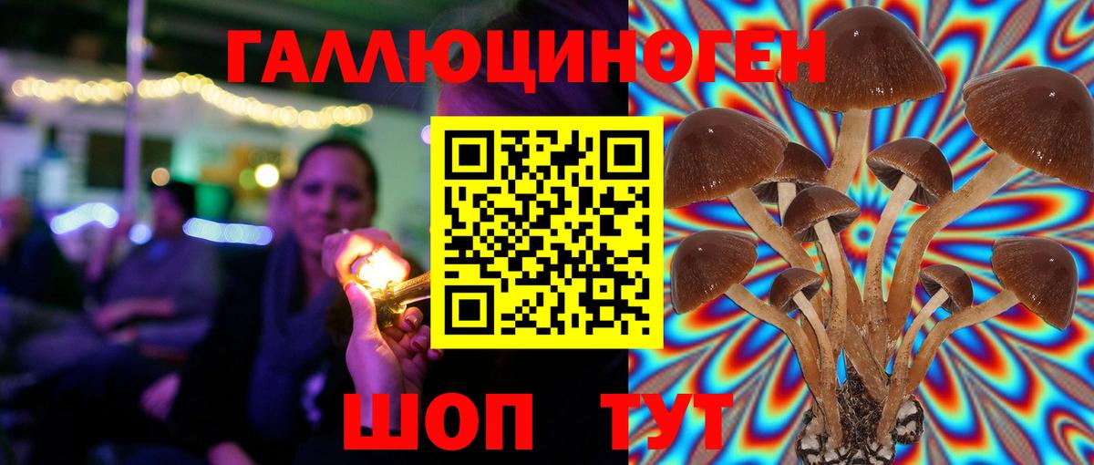 Псилоцибиновые грибы прущие грибы  Галлюциногенные грибы Psilocybine cubensis  Вход с VPN  Острогожск 