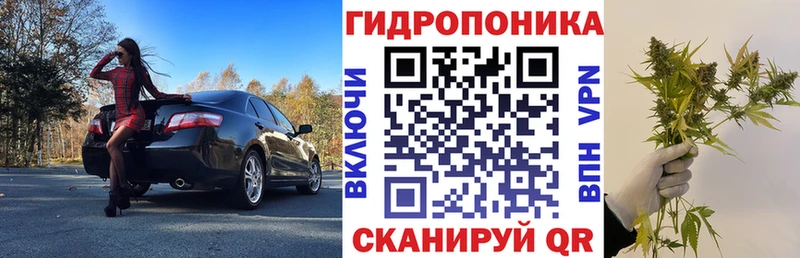 цены   Острогожск  Бошки марихуана ГИДРОПОН 