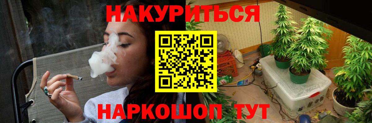 Канабис план Острогожск